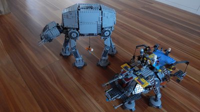 DSCN1501lepin.JPG