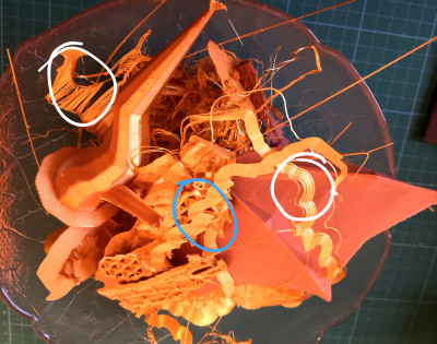 20201227_142901.jpg