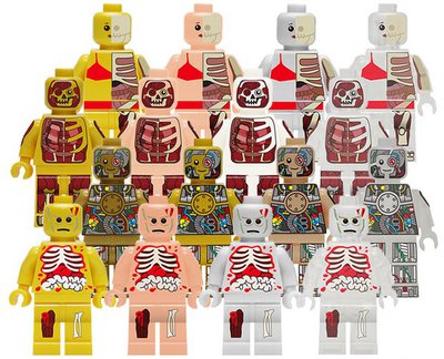Anatomie Figuren übersicht.jpg
