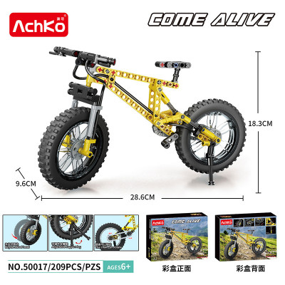 AchKo 50017 01.jpg