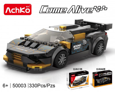 AchKo 50003 01.jpg