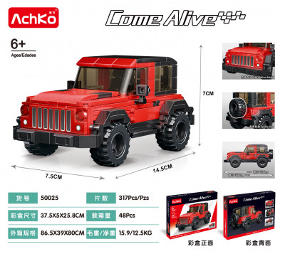 AchKo 50025 01.jpg