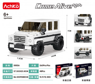 AchKo 50026 01.jpg