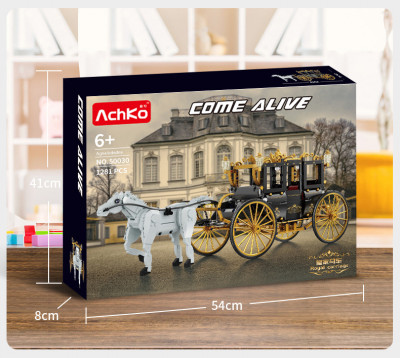 AchKo 50030 12.jpg
