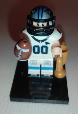 nfl07.jpg
