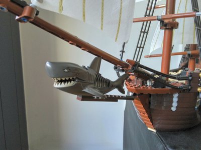 IMG_20170608_180924.jpg